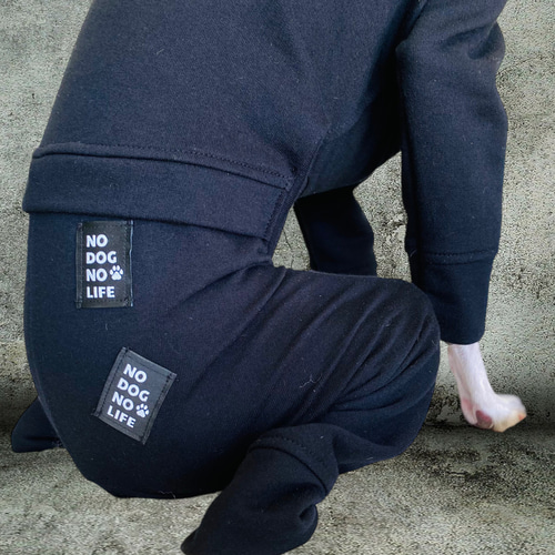 ミニピン】NO DOG NO LIFE スポーティー ペット服・アクセサリー