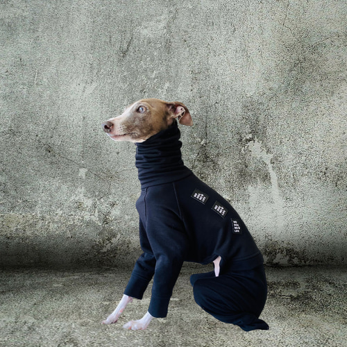 ミニピン】NO DOG NO LIFE スポーティー ペット服・アクセサリー