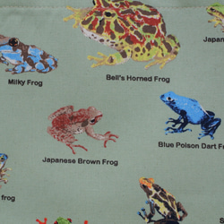 ４５×３５大きめレッスンバッグ　渋かっこいい　蛙の不思議な世界　カエル　ツイル×キルティング　入園★入学 9枚目の画像