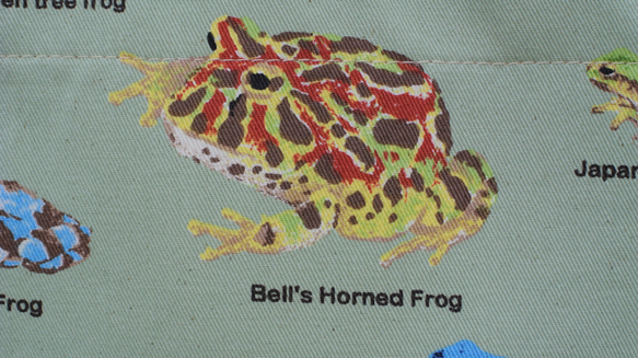 ４５×３５大きめレッスンバッグ　渋かっこいい　蛙の不思議な世界　カエル　ツイル×キルティング　入園★入学 6枚目の画像