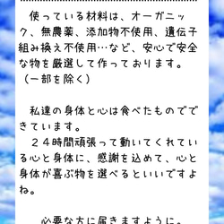 無農薬米粉使用。米粉パン　プレーン8個セット 2枚目の画像