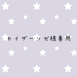 専用ページです 1枚目の画像