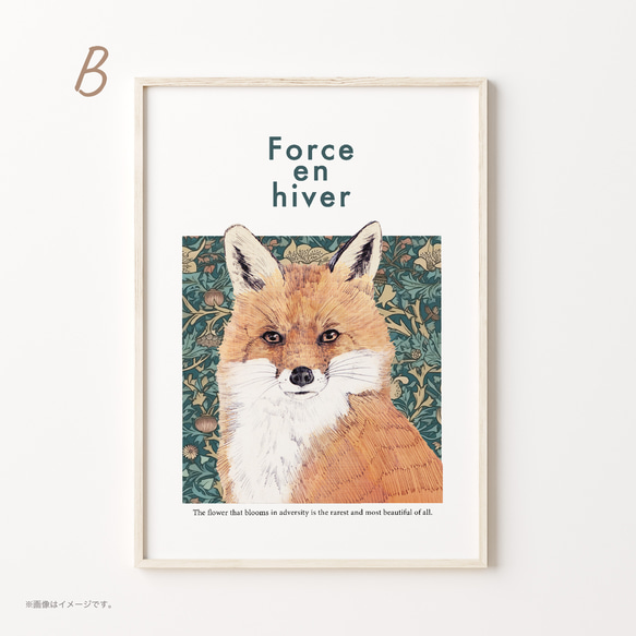 A3ポスター「FOX」 5枚目の画像