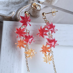 紅葉のピアス(イヤリング) ピアス（スタッド・一粒） Sei.w 通販