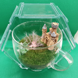 グリコ　空箱　レア　インテリア小物　置物　雑貨　インスタ映え　非売品 箱庭 グラスの中の小さな世界 森の奥に佇む古城 （透明プラスチック