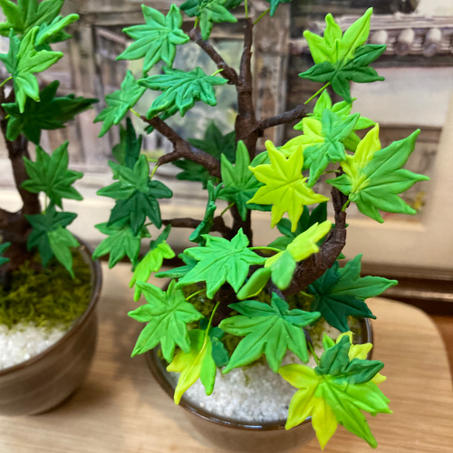 再販しました！》樹脂粘土製ミニチュア盆栽〈青紅葉〉 盆栽 AB
