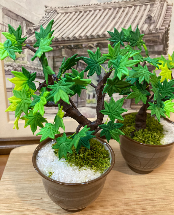 再販しました！》樹脂粘土製ミニチュア盆栽〈青紅葉〉 盆栽 AB-Hachi