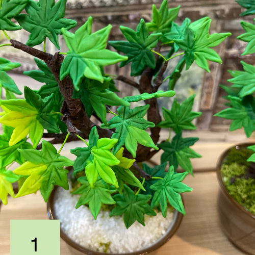 再販しました！》樹脂粘土製ミニチュア盆栽〈青紅葉〉 盆栽 AB