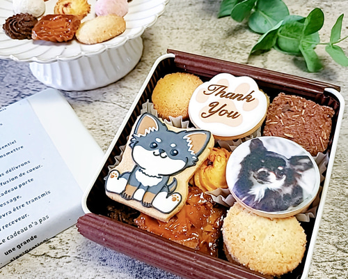 クッキーチワワパネル生地　ハンドメイド チワワのクッキー缶 クッキー CAN-tasticcookies! 通販 16649786