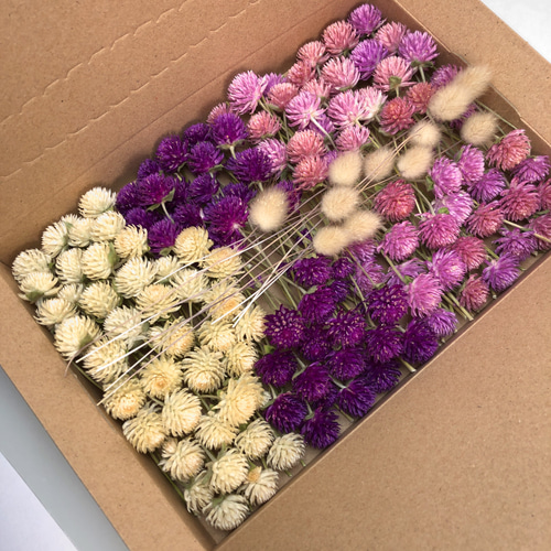 千日紅ドライフラワー自然・短120本+おまけ [42] ドライフラワー Attic