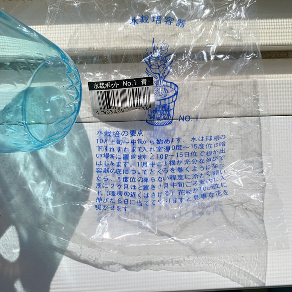 水栽培用クロッカス球根3個 容器3個 セット 球根付き 秋植え レトロ 容器 花瓶 3枚目の画像