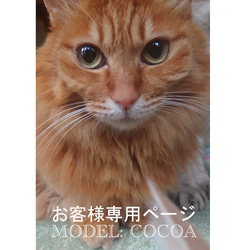 【お客様専用ページ_ココアちゃん】羊毛フェルト、猫ぬいぐるみ、フェルト猫、ペットメモリアル、オーダーメイド 2枚目の画像