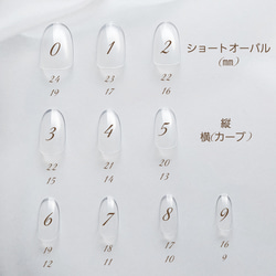 No.188 　オーロラピンクとキラキラ押し花ネイル　/　ジェルネイル　ネイルチップ　押し花　ピンク　マグネット　パール 6枚目の画像