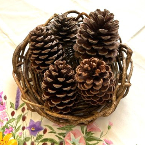 自然資材 松ぼっくり特大5ケと中松ぼっくり1箱（写真参照） その他素材