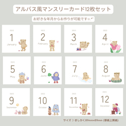ましかく マンスリーカード アルバス アルバム 四季くま 雑貨・その他