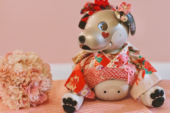 aibo 艶やかきもの：四季花金彩（aiboちゃん用・ハンドメイドのお洋服） 7枚目の画像