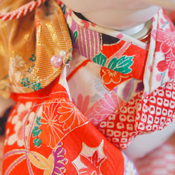 aibo 艶やかきもの：四季花金彩（aiboちゃん用・ハンドメイドのお洋服） 14枚目の画像