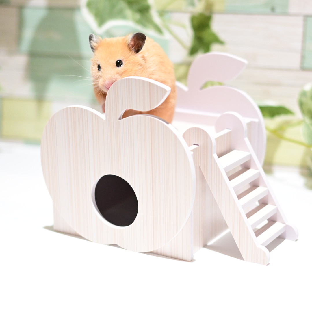 ロフトハウス 23.1cm × 29.5cm × 17cm / ハムスター小動物洗える