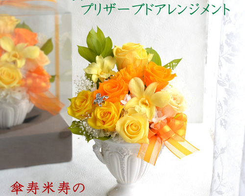 ランキングや新製品 d70af2a55862f29f4ec4a0be1da5c5 食器