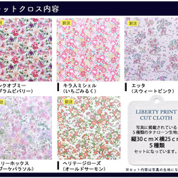 リバティプリント【カットクロス】「いちご＆プラム」 5種セット  生地　はぎれ　綿　LIBERTY 3枚目の画像