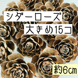 シダーローズ 大きめの物(ヒマラヤ杉の松ぼっくり)15個 サイズ 5㎝〜7