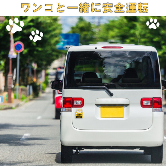 【マグネットステッカー】ステッカー 犬 かわいいマグネット 安全運転 柴 ポメラニアン コーギー トイプードル 2枚目の画像