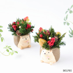 秋 プリザーブドフラワー のおすすめ人気通販｜Creema(クリーマ) 国内