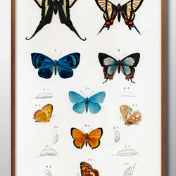 d1893d735d33a29ab26d9c19623b19