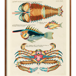 bca40e0d718eb32389ce29a9a9b2c8