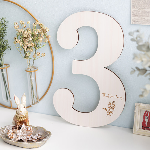 ビッグナンバー 0〜9⌇木製「縁起の良いボタニカル」撮影小物 七五三