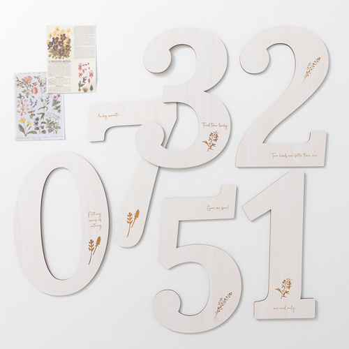 ビッグナンバー 0〜9⌇木製「縁起の良いボタニカル」撮影小物 七五三