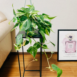 1254a6d6fe0a184b6f3c7d1004870a