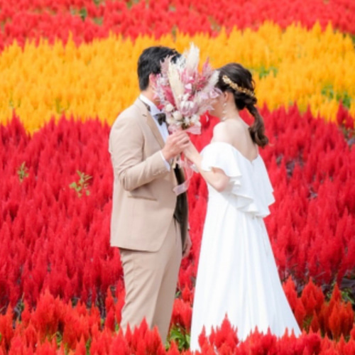 本物の紫陽花を使った世界で1つのカチューシャ風ヘッドドレス No.1