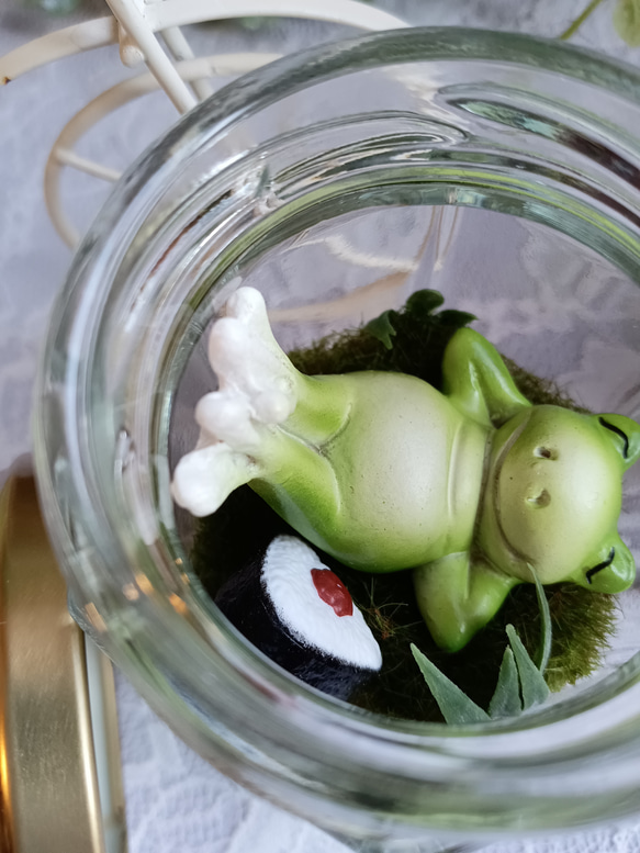 【癒し時・感】ガラス瓶の中の小さな世界「カエル君の昼休み」 3枚目の画像