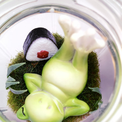 【癒し時・感】ガラス瓶の中の小さな世界「カエル君の昼休み」 7枚目の画像