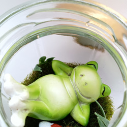 【癒し時・感】ガラス瓶の中の小さな世界「カエル君の昼休み」 8枚目の画像