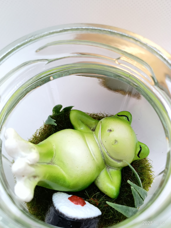 【癒し時・感】ガラス瓶の中の小さな世界「カエル君の昼休み」 8枚目の画像