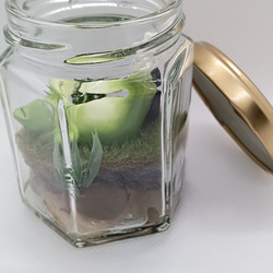 【癒し時・感】ガラス瓶の中の小さな世界「カエル君の昼休み」 10枚目の画像
