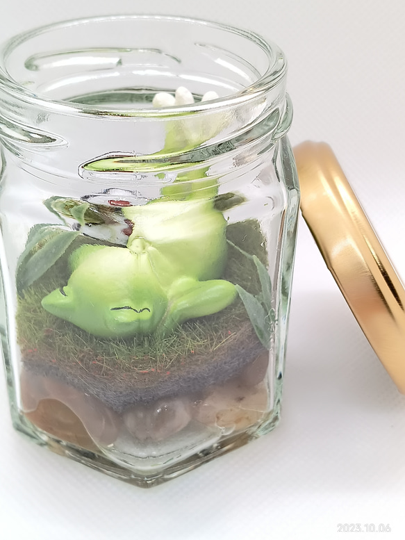 【癒し時・感】ガラス瓶の中の小さな世界「カエル君の昼休み」 5枚目の画像