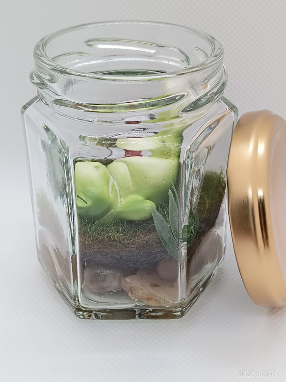 【癒し時・感】ガラス瓶の中の小さな世界「カエル君の昼休み」 6枚目の画像