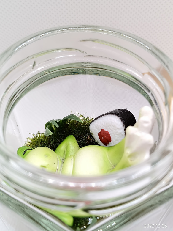 【癒し時・感】ガラス瓶の中の小さな世界「カエル君の昼休み」 9枚目の画像