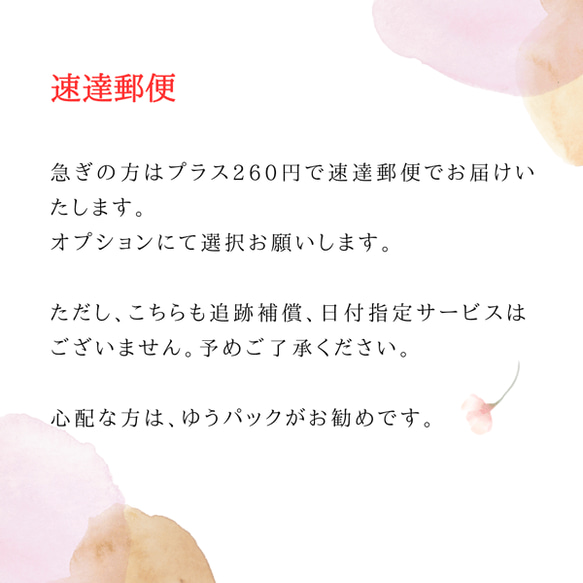 胡蝶蘭と赤マムの和風髪飾り（白赤）結婚式、成人式などのお着物に合わせて♪ 10枚目の画像