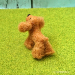 毛茸茸的吉祥物英國可卡犬科拉 第5張的照片