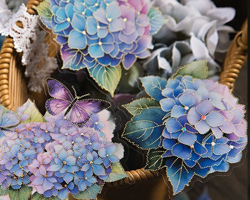 5376232d035429cabfd6aac0fbca7e