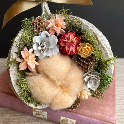 一点物【クリスマス】個性が可愛いブッダナッツ Noel／クリスマス飾り  