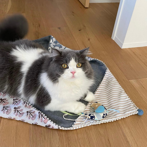ねこさん専用 ニャンケット インドブロックハンドプリント×フリース 