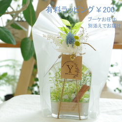 【作りたて！】めだかのさんぽ道　柚葉色のみち　濃く、薄く。グリーングラデの植物たちが織りなす美しい水景色！ 16枚目の画像