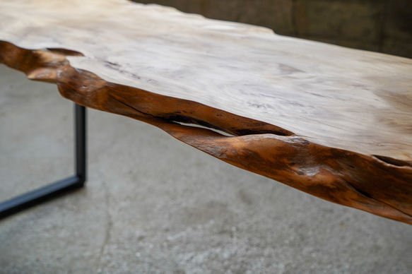 羅漢槙の 一枚板 ローテーブル　リビングテーブル 9枚目の画像