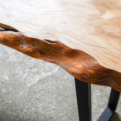 羅漢槙の 一枚板 ローテーブル　リビングテーブル 8枚目の画像