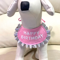 バースディ フェルトスタイ (ピンク) ラインストーン ペット用　犬 猫 フリル　誕生日グッズ 3枚目の画像